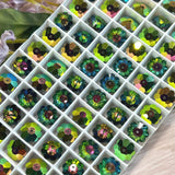 Vitrail Medium 10mm Vintage Swarovski Margarita With or Without a Setting