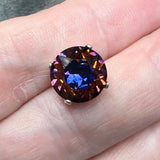 Ultra Rare Vitrail Dark, Vintage Swarovski Rhinestone 48ss Dentelle, with Settings